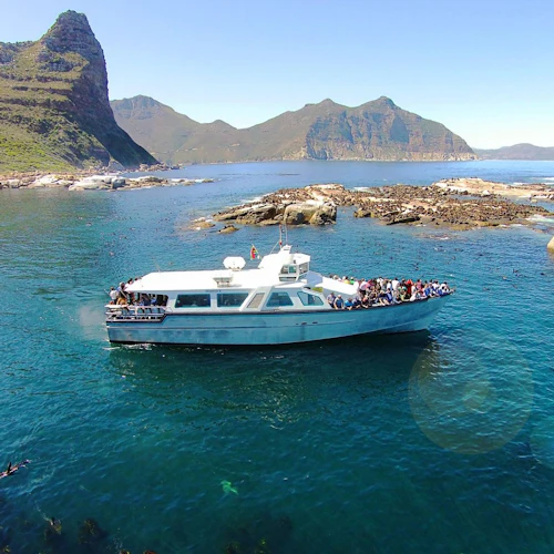 Duiker Island: Seal Sightseeing Cruise