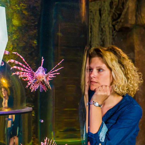 SEA LIFE Timmendorfer Strand: Entry Ticket - Photo 5