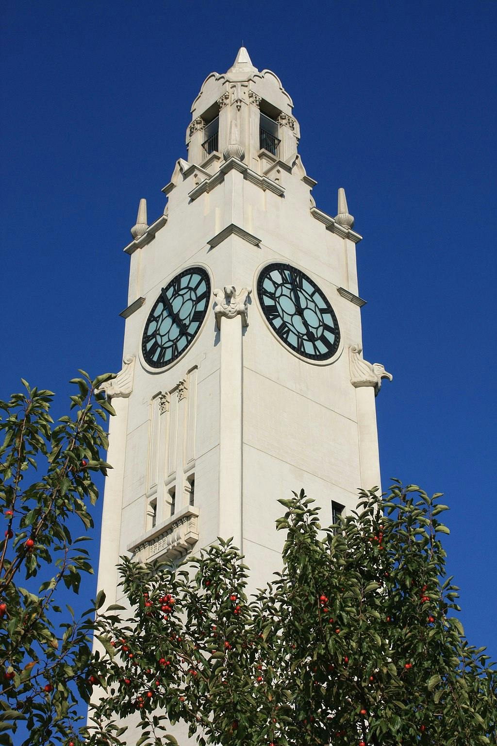 Clock tower with large, circular, blue-faced clocks on a white building, partially obscured by leafy trees with red berries. Clear blue sky.