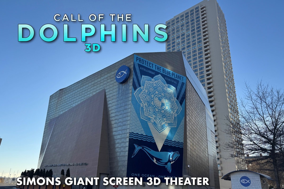 Simons Theater at the New England Aquarium: Call of the Dolphins 3D Film