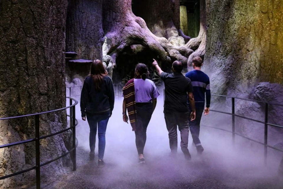 The Forbidden Forest