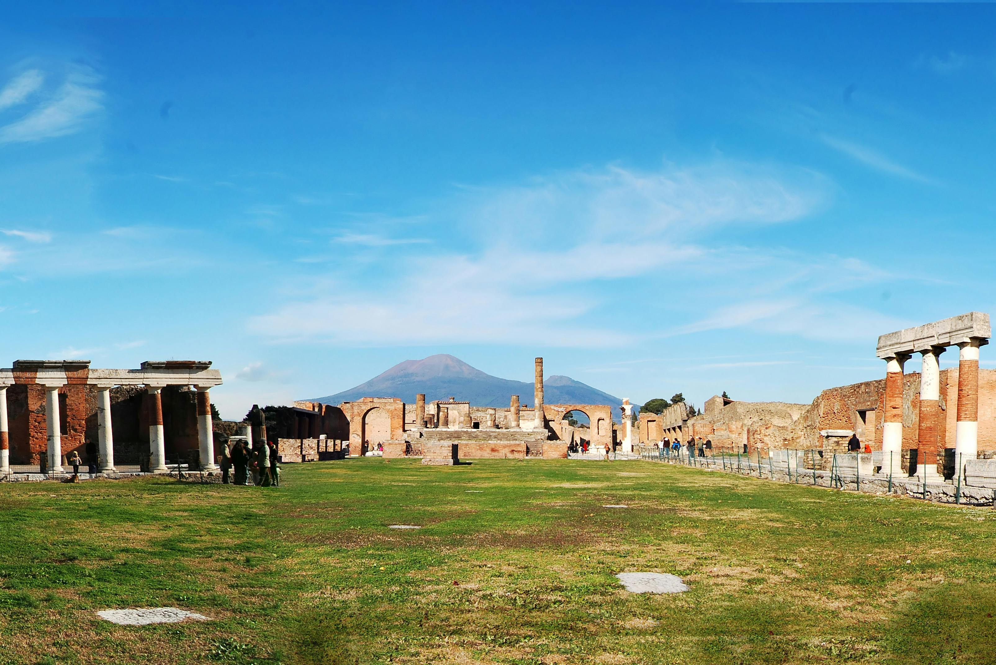 Pompeii: Guided Tour + Roundtrip from Naples 3