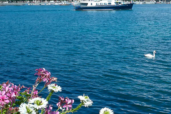 Cenevre Gemi Turu