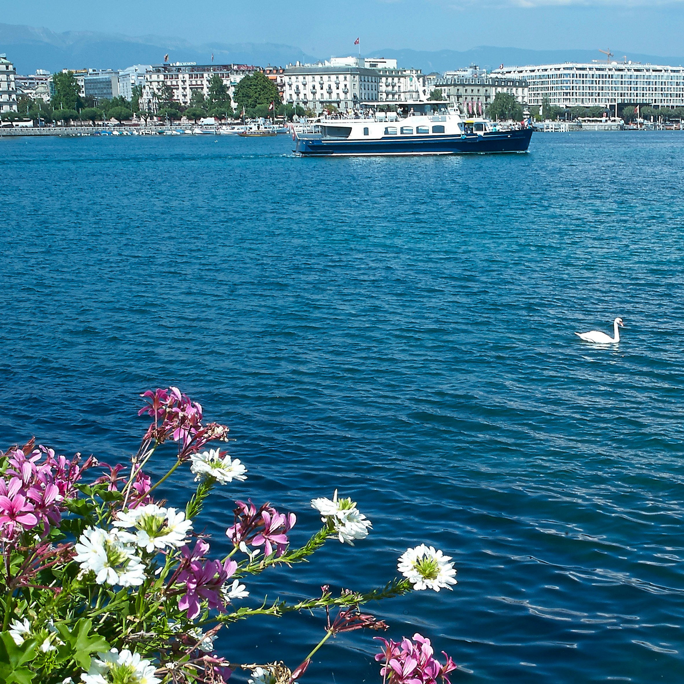 Geneva Boat Tour