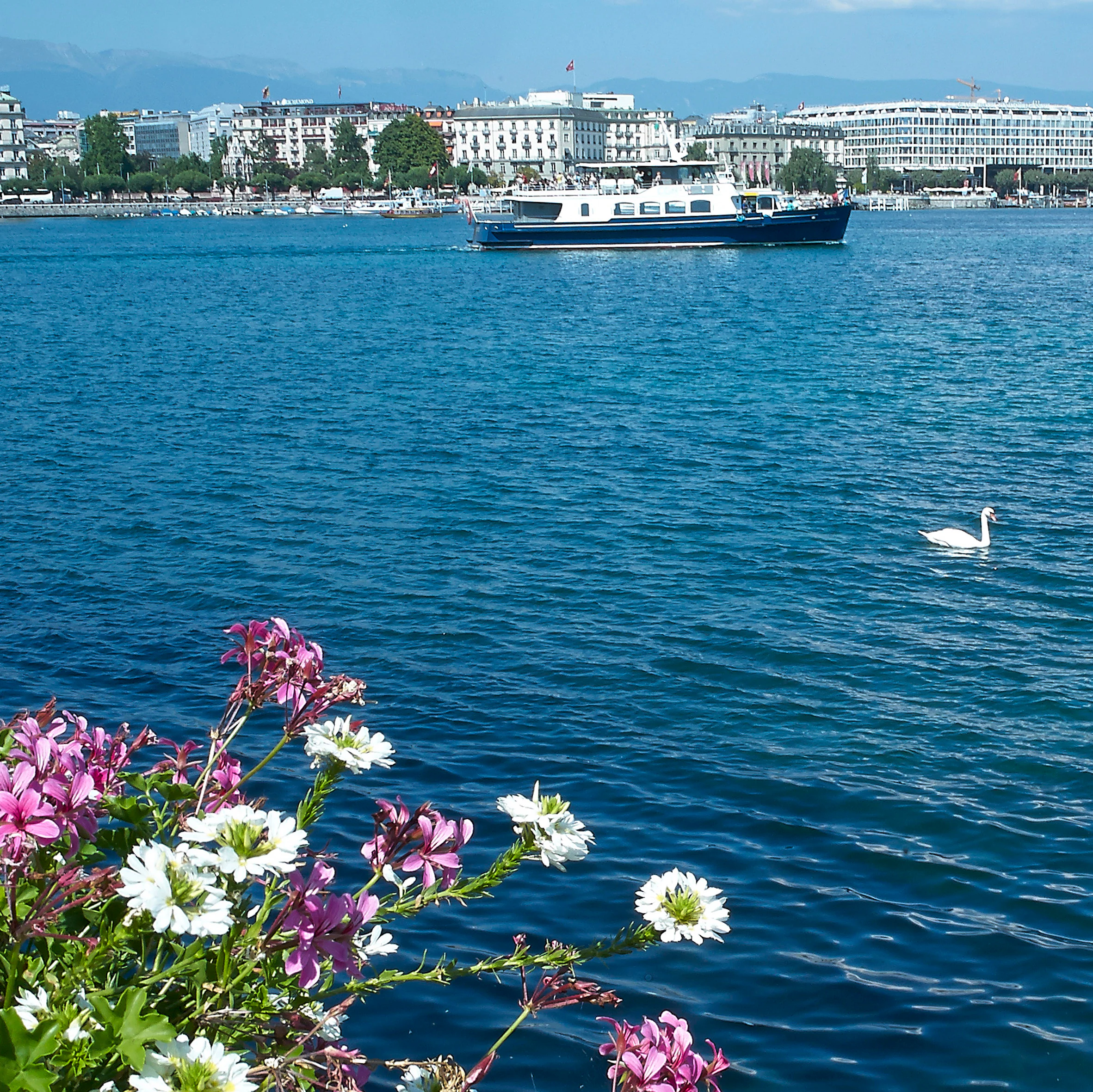 Geneva Boat Tour