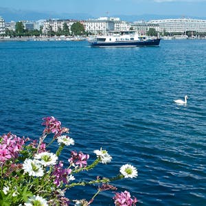 Lake Geneva Tours