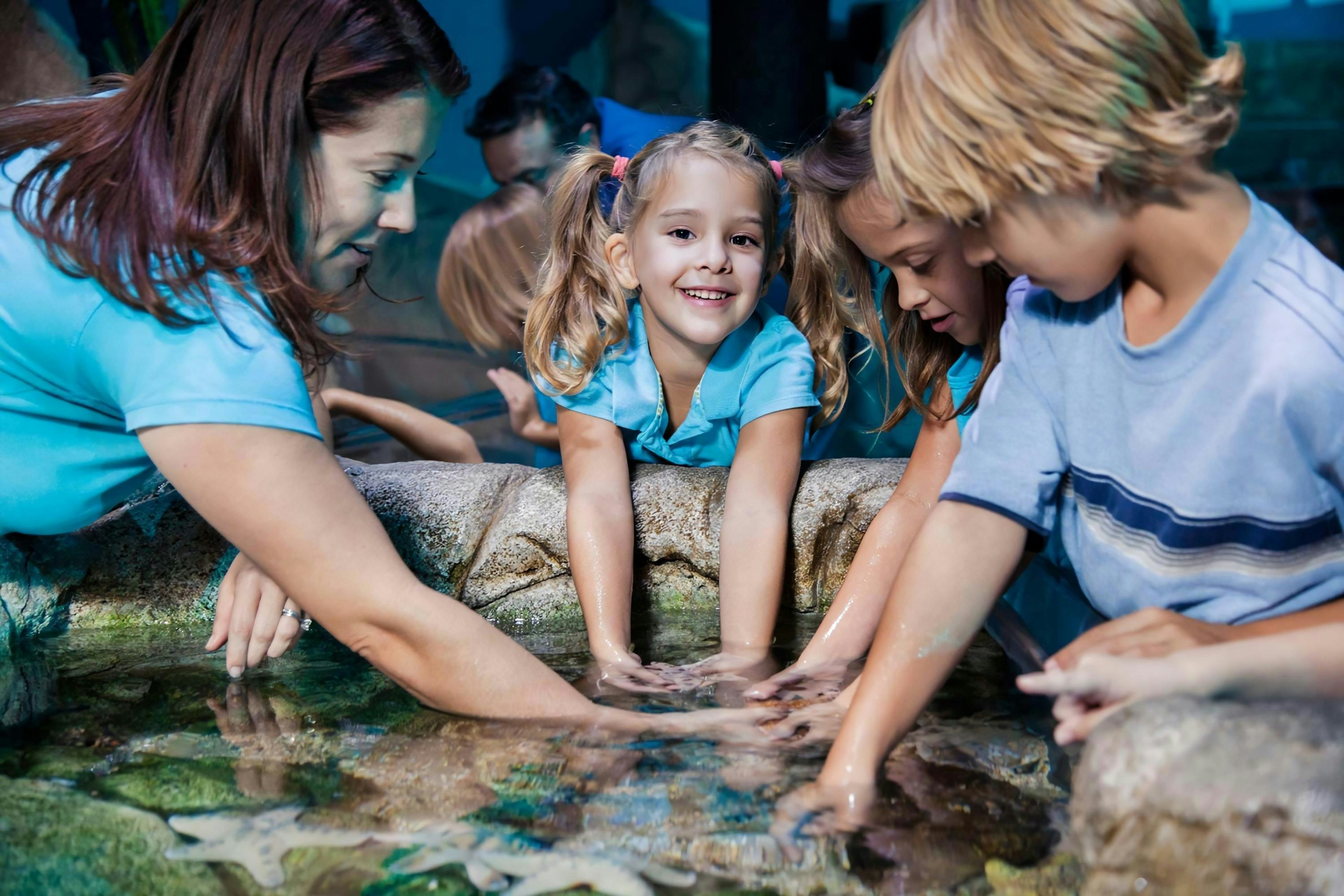 SEA LIFE Manchester: bilhete de entrada