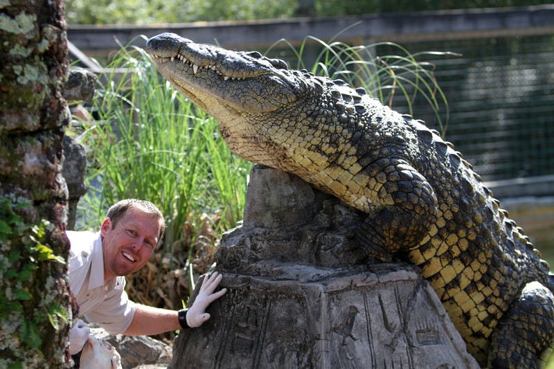A smiling man in a white shirt and gloves peeks from behind a tree next to a large statue of a crocodile amidst greenery.