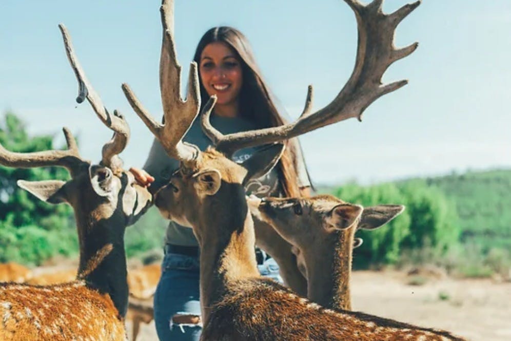 Fondation de la réserve forestière sauvage