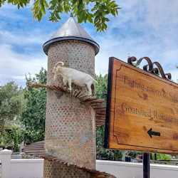 Cape Town: Small-Group Aquila Safari Tour with Wine Tasting 5