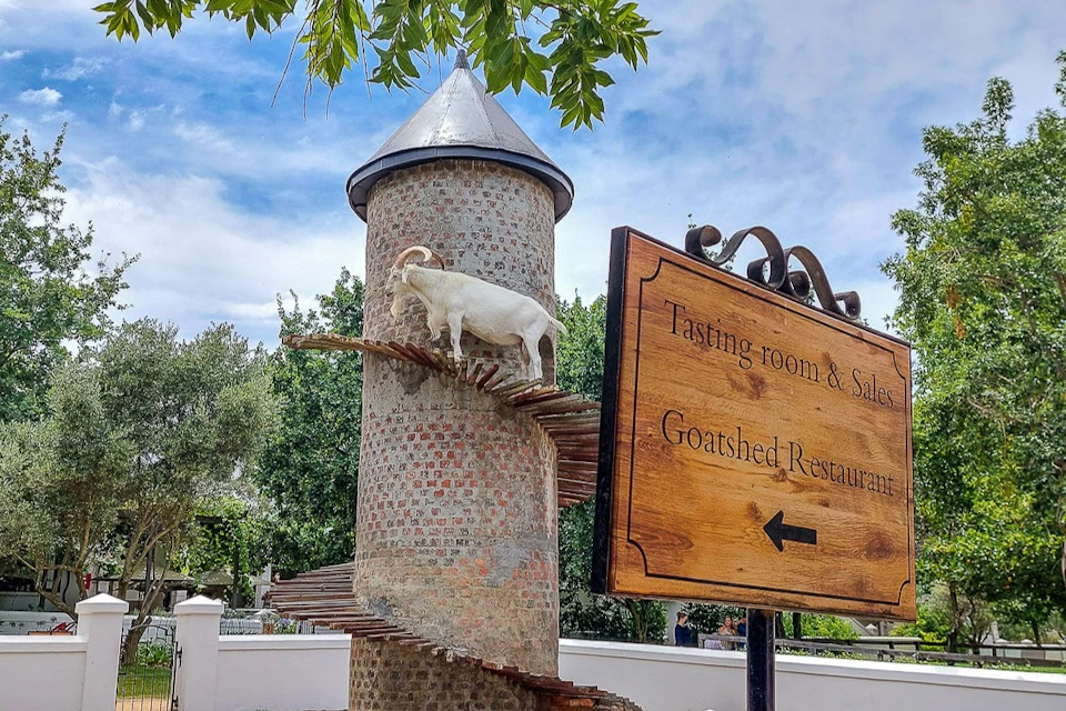 Winery