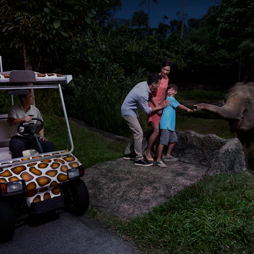 Singapore Night Safari with Tram Ride - Photo 8