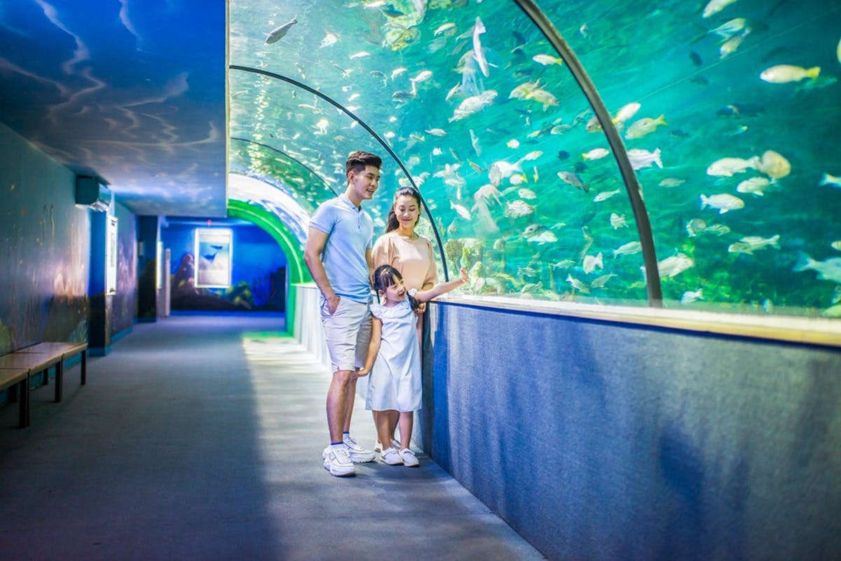 A family of three enjoys watching fish inside an aquarium tunnel, surrounded by vibrant marine life.
