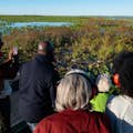 Excursion en canot pneumatique - Observation d'alligators