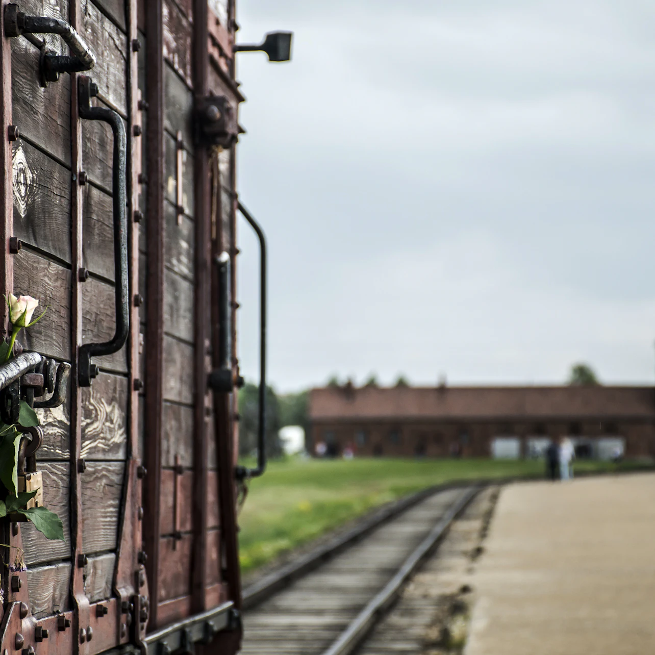 Auschwitz-Birkenau: Guided Tour + Transport in Krakow β Tiqets