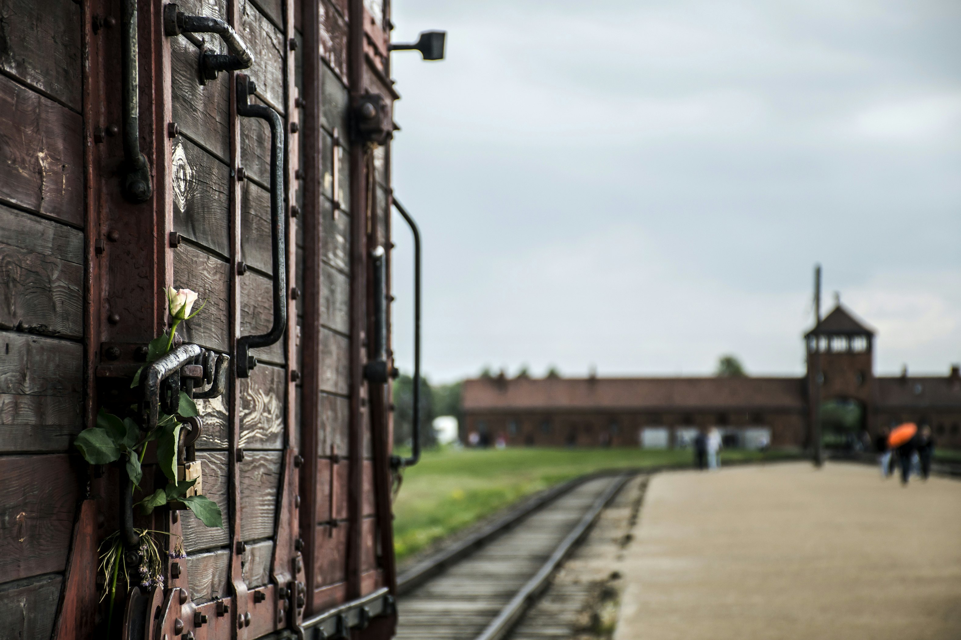 Birkenau 