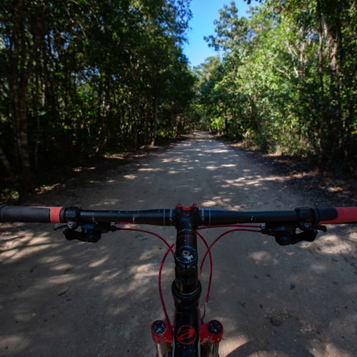 Tulum & 2 Cenotes Trail: Bike Tour + Lunch
