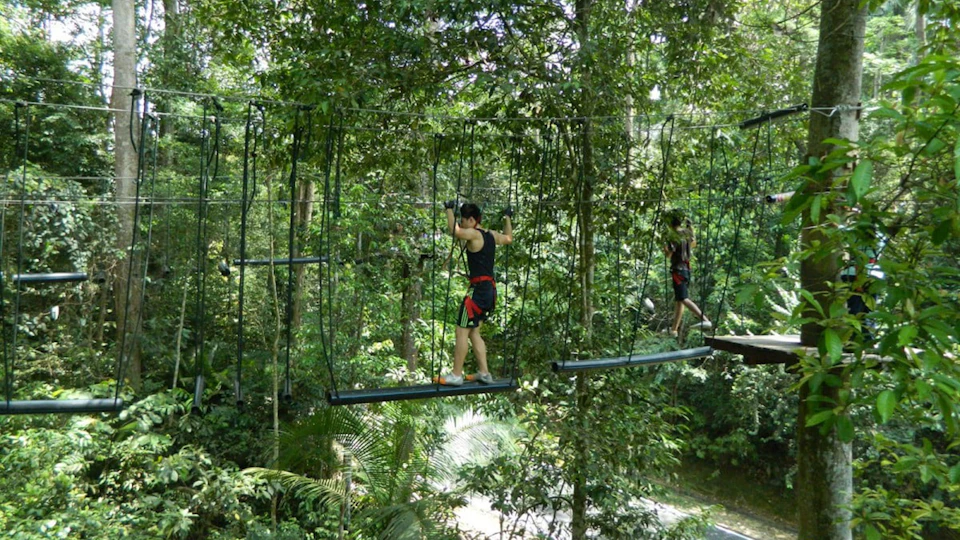 Two people crossing a rope bridge in a lush forest, wearing safety harnesses.