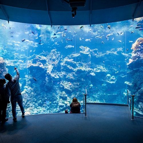 Tour Image 1