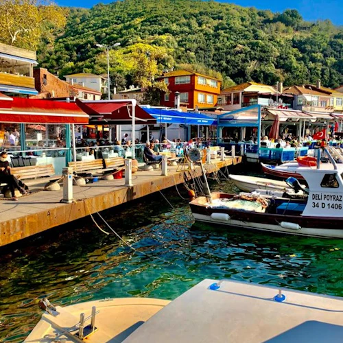 Istanbul: Bosphorus & Black Sea Sightseeing Cruise with Lunch - Photo 16