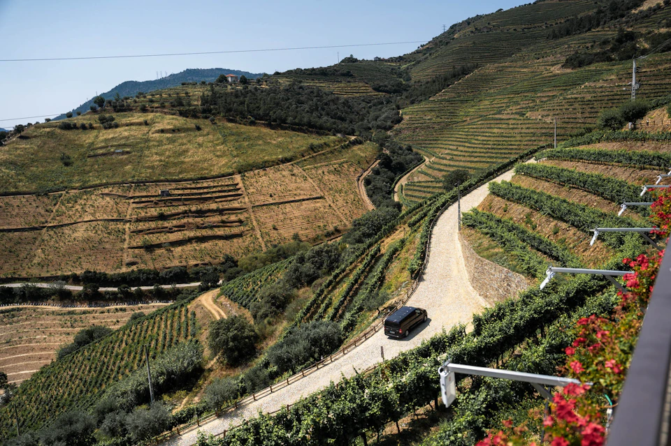 Douro Premium