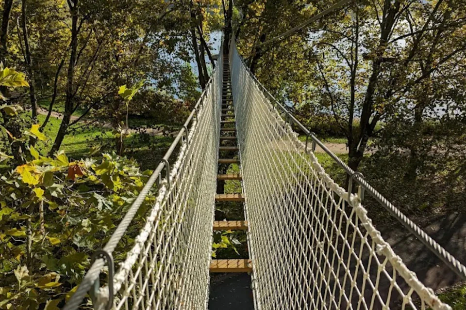 A long suspension bridge with netted sides stretches through a forest, surrounded by lush green foliage and trees.