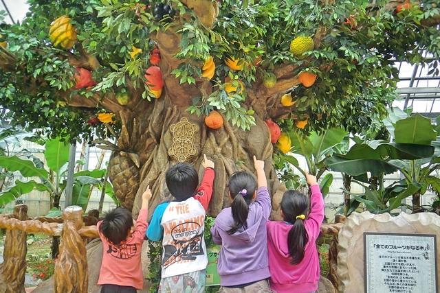 Okinawa Fruits Land: Admission Ticket + Fruit Board - Photo 2