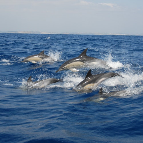Tour Image 3