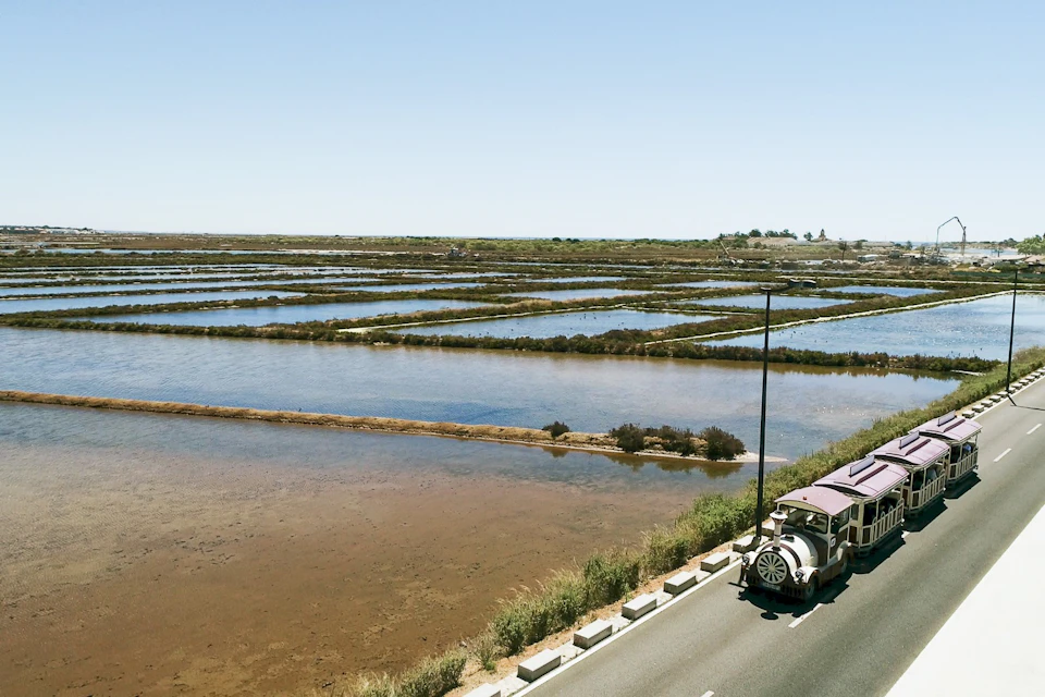 Tavira Train