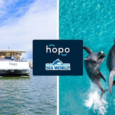 Gold Coast Sea World Biletleri + Hopo Ferry