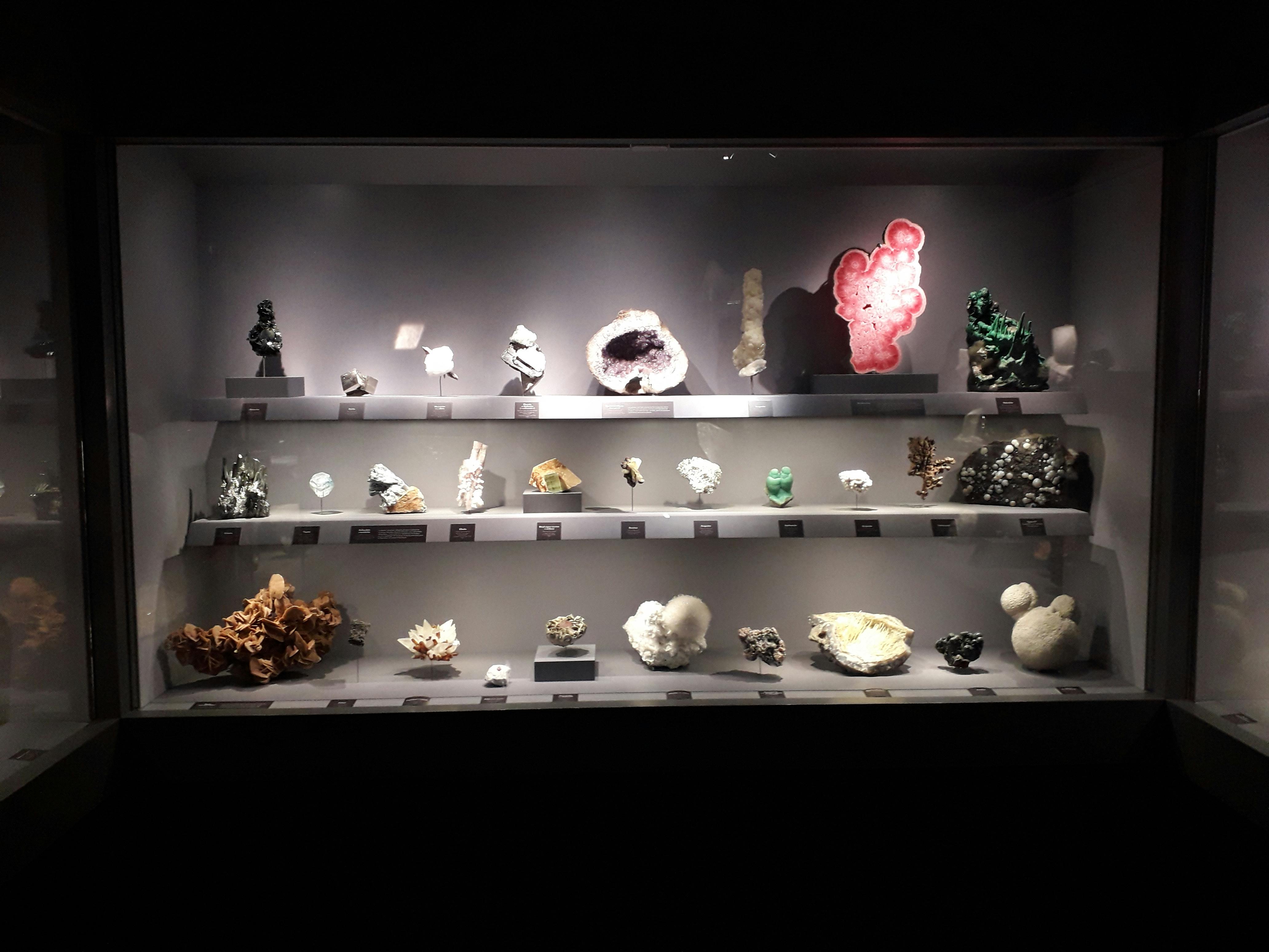 A display case showcasing various mineral samples with each specimen labeled, in a dimly lit setting.