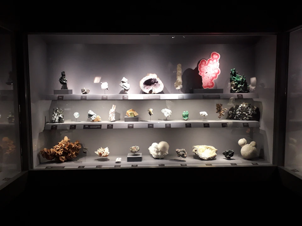A display case showcasing various mineral samples with each specimen labeled, in a dimly lit setting.