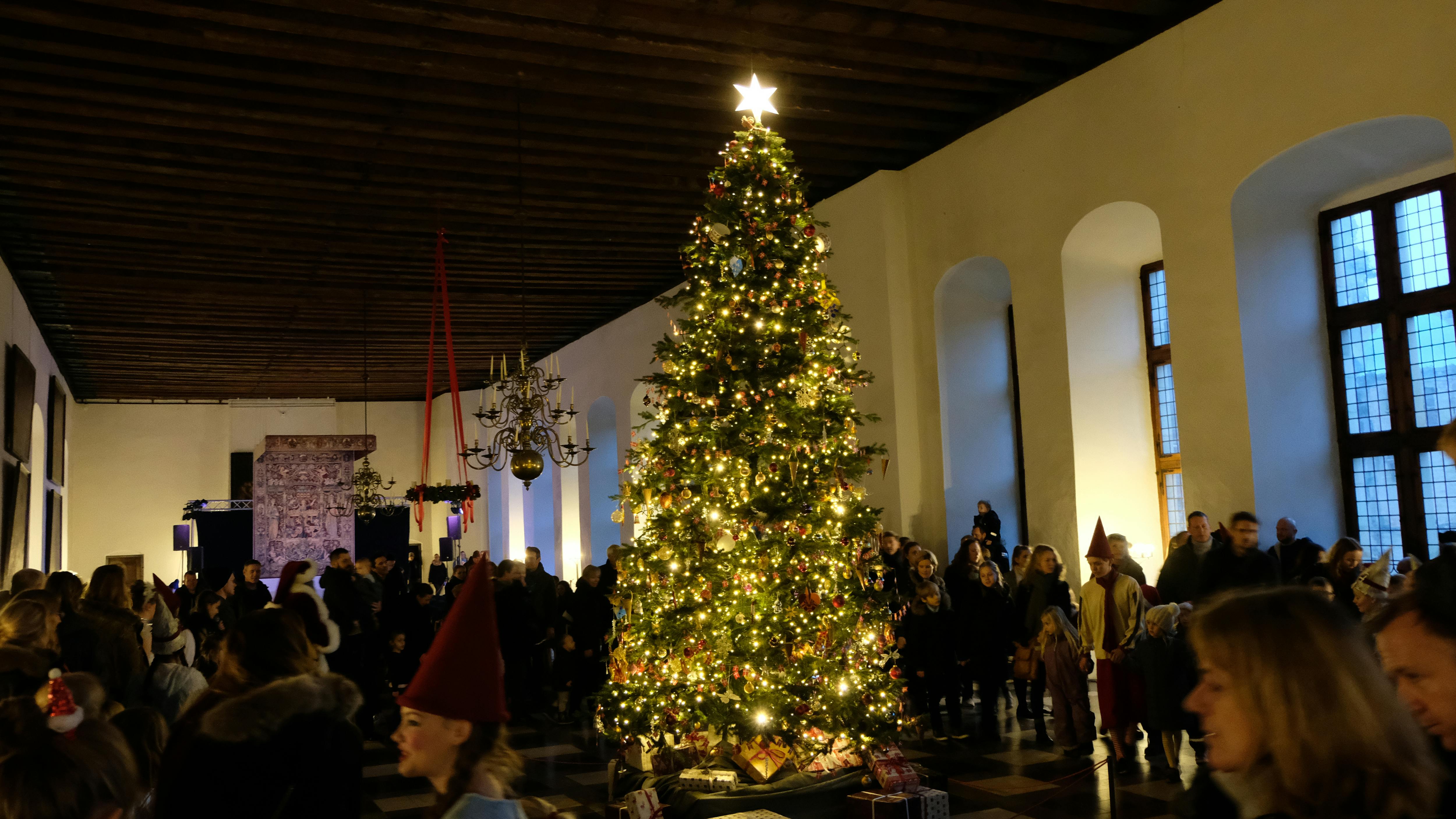 People gathered in a large room with arched windows, admiring a decorated and lit Christmas tree.