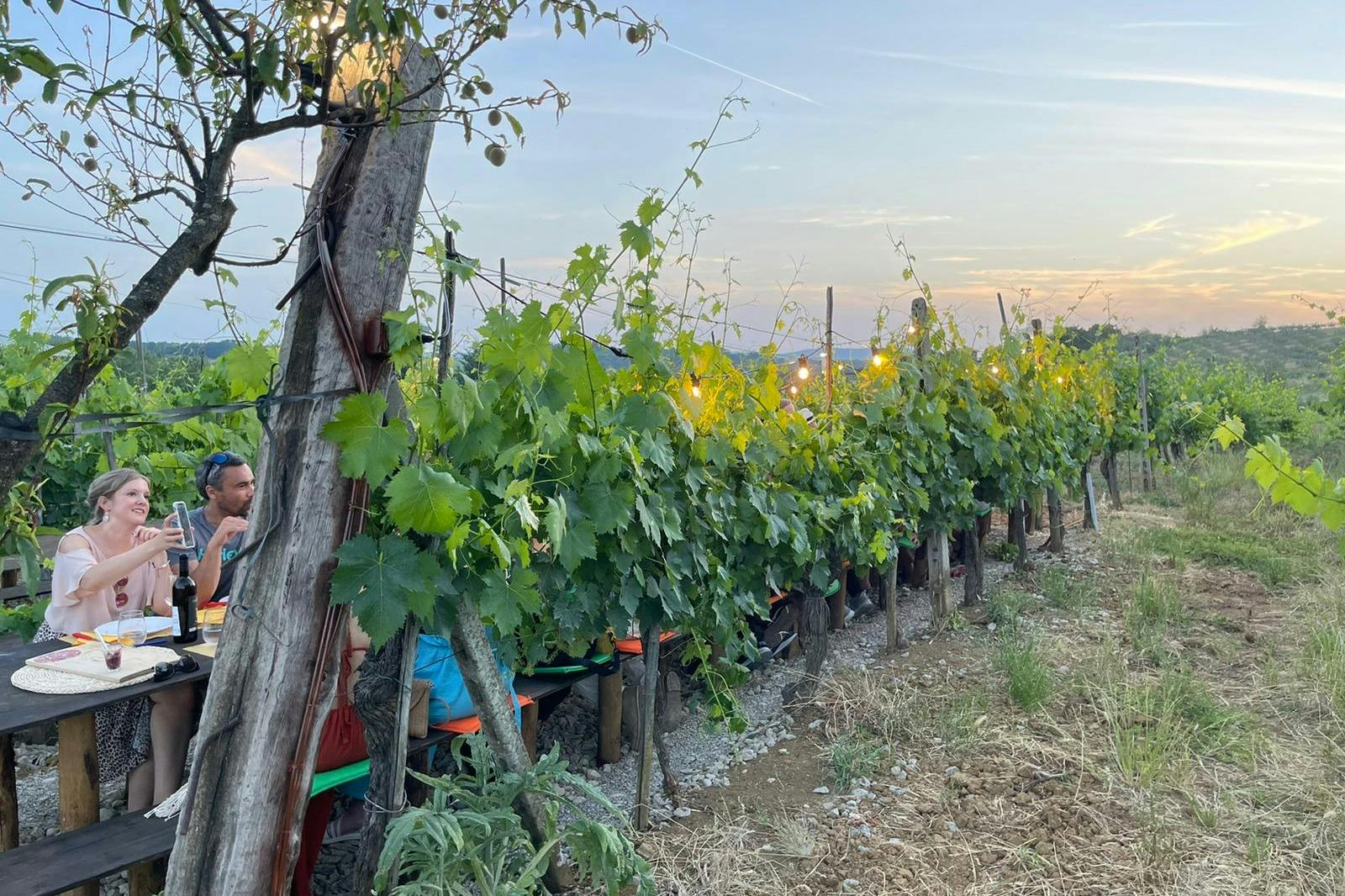 Δείπνο στον αμπελώνα