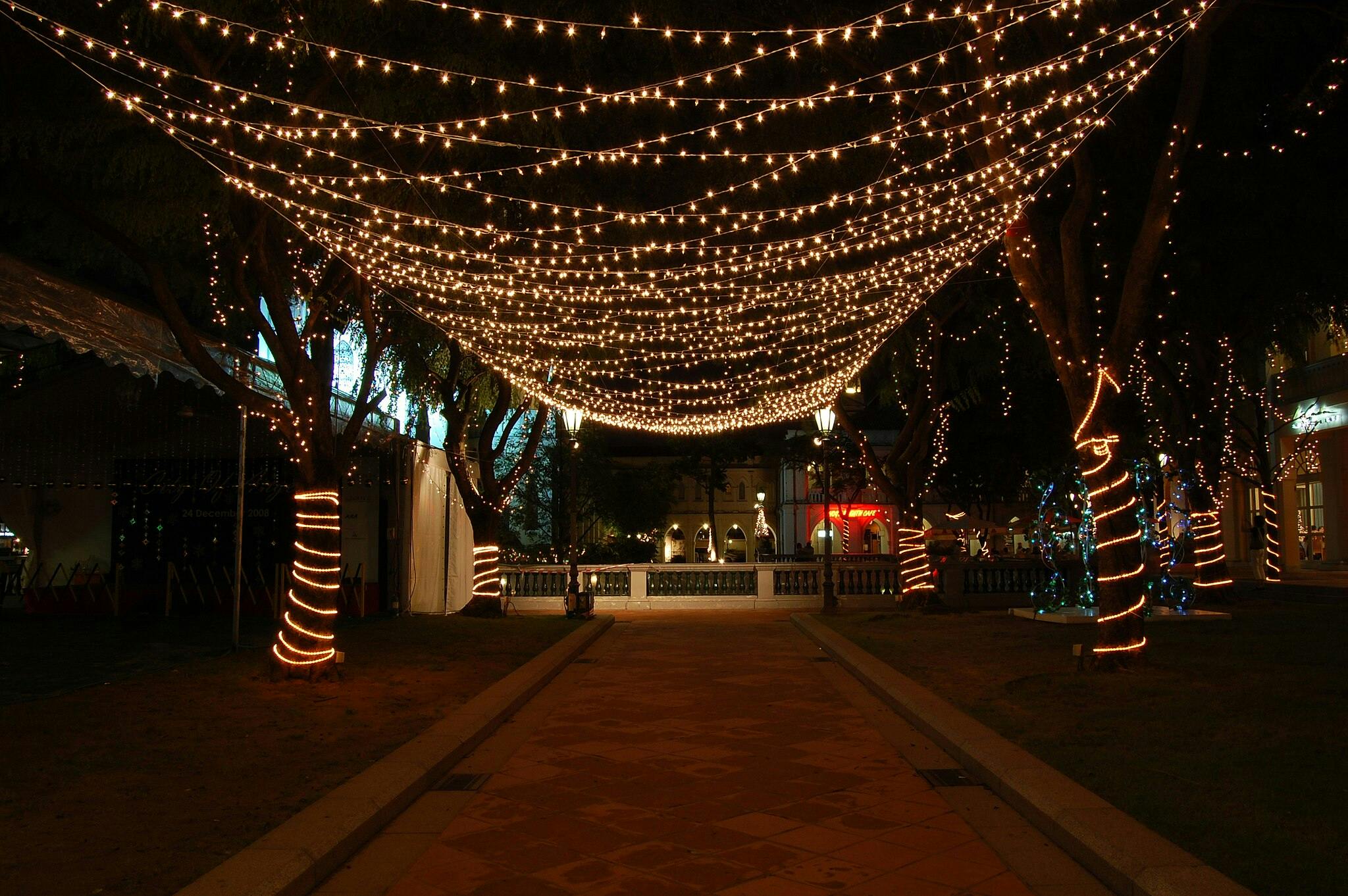 A path lined with trees and lampposts, adorned with hanging string lights and wrapped tree lights at night.