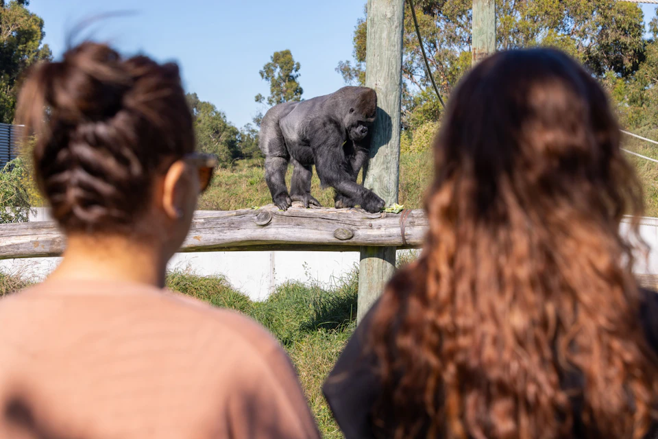 Orana Wildlife Park: General Admission Ticket