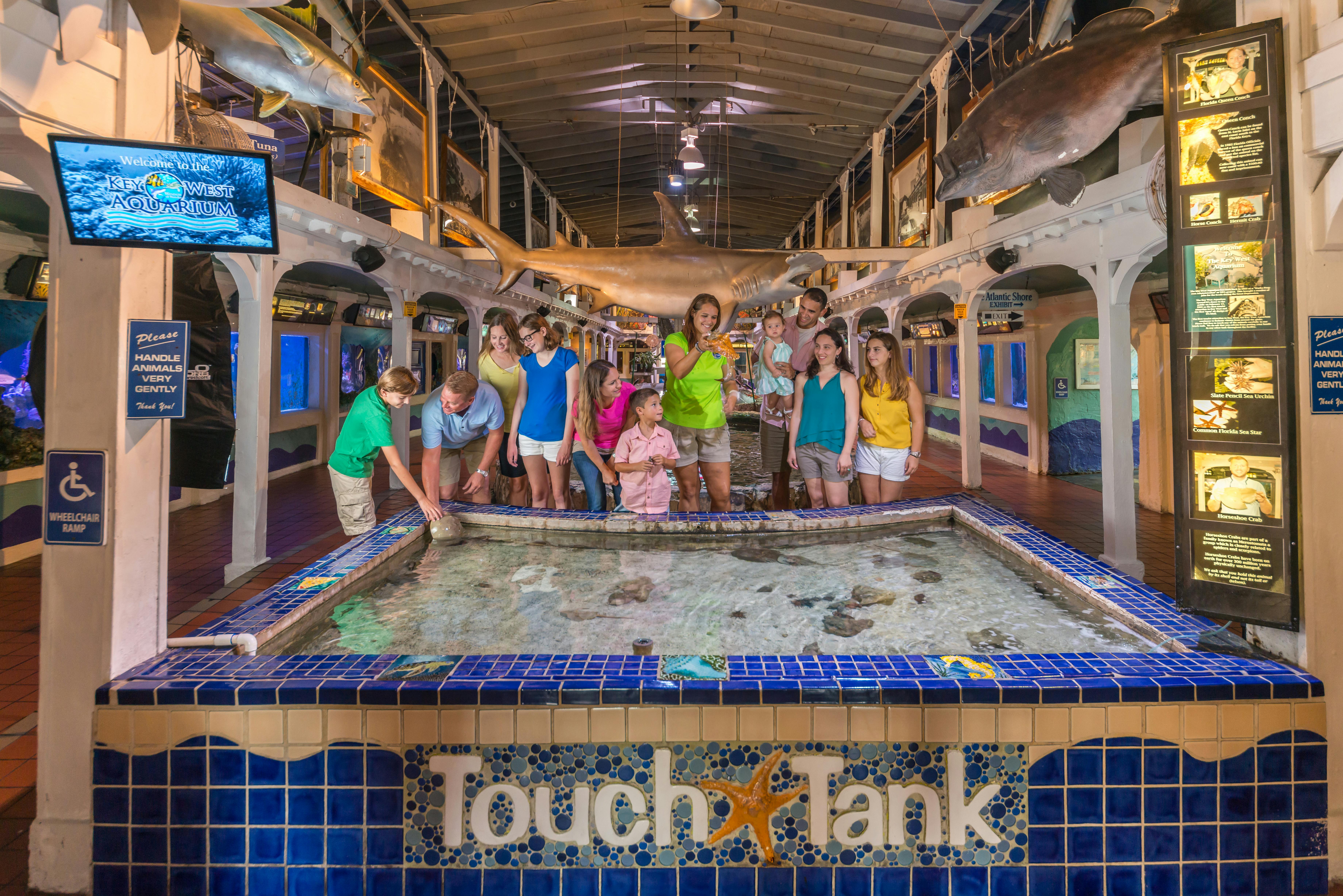 People interacting with marine animals at a touch tank in an aquarium, with educational exhibits and large fish models overhead.