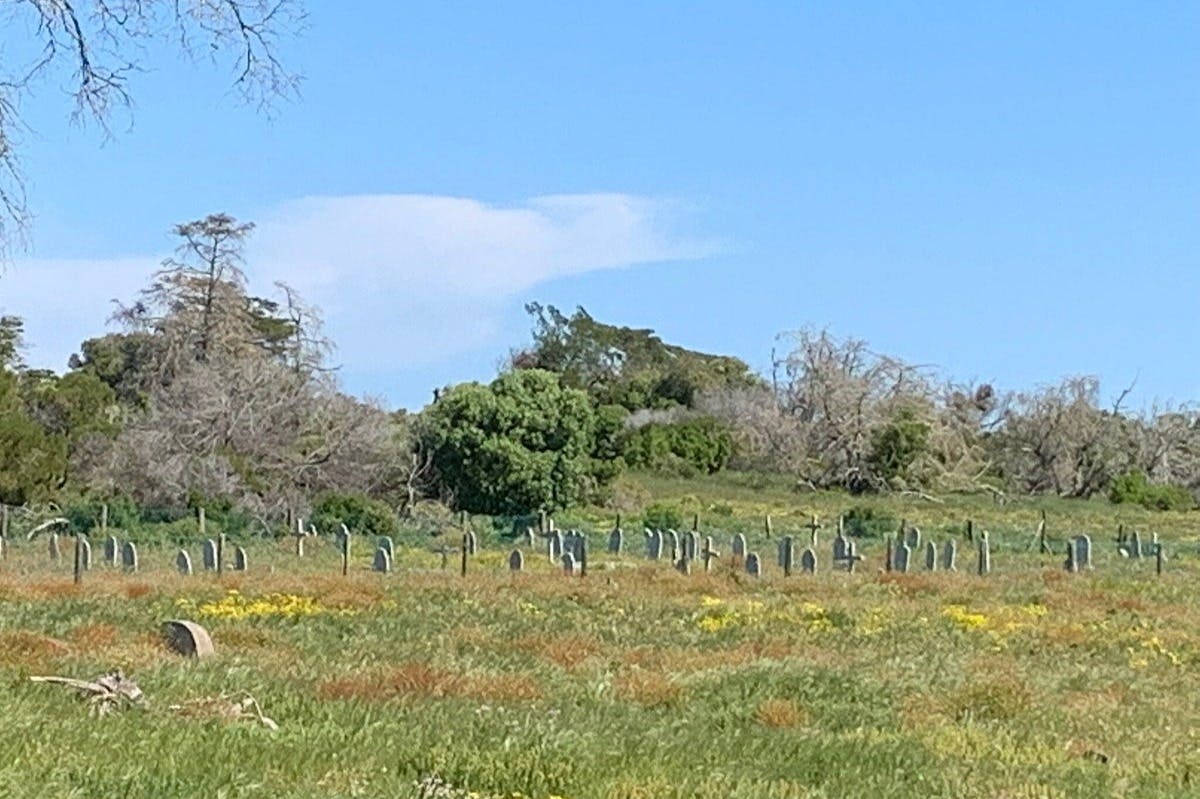 Cimetières des prisonniers politiques morts pendant l&#39;apartheid.
