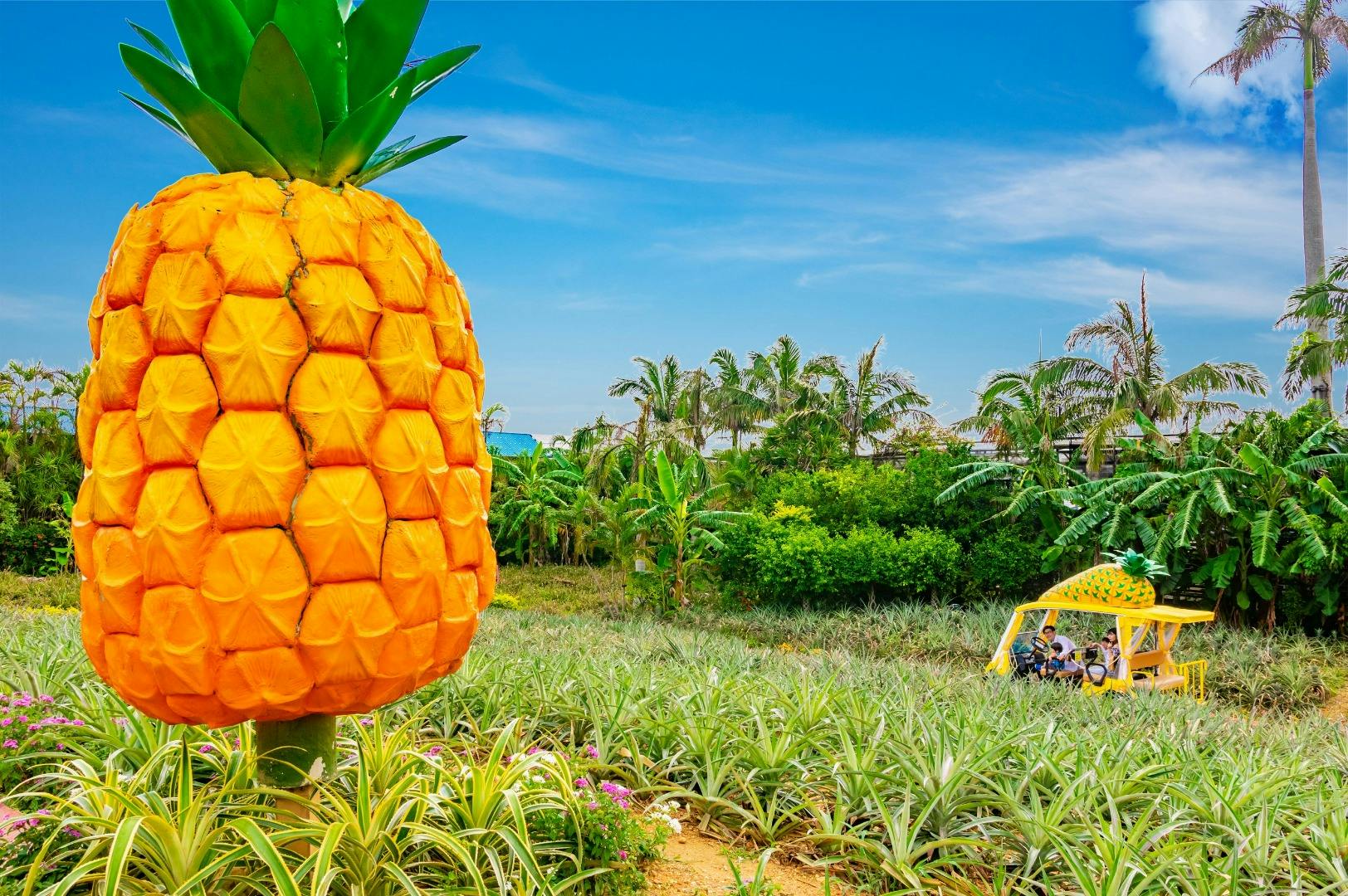 Nago Pineapple Park: Admission Ticket - Photo 4