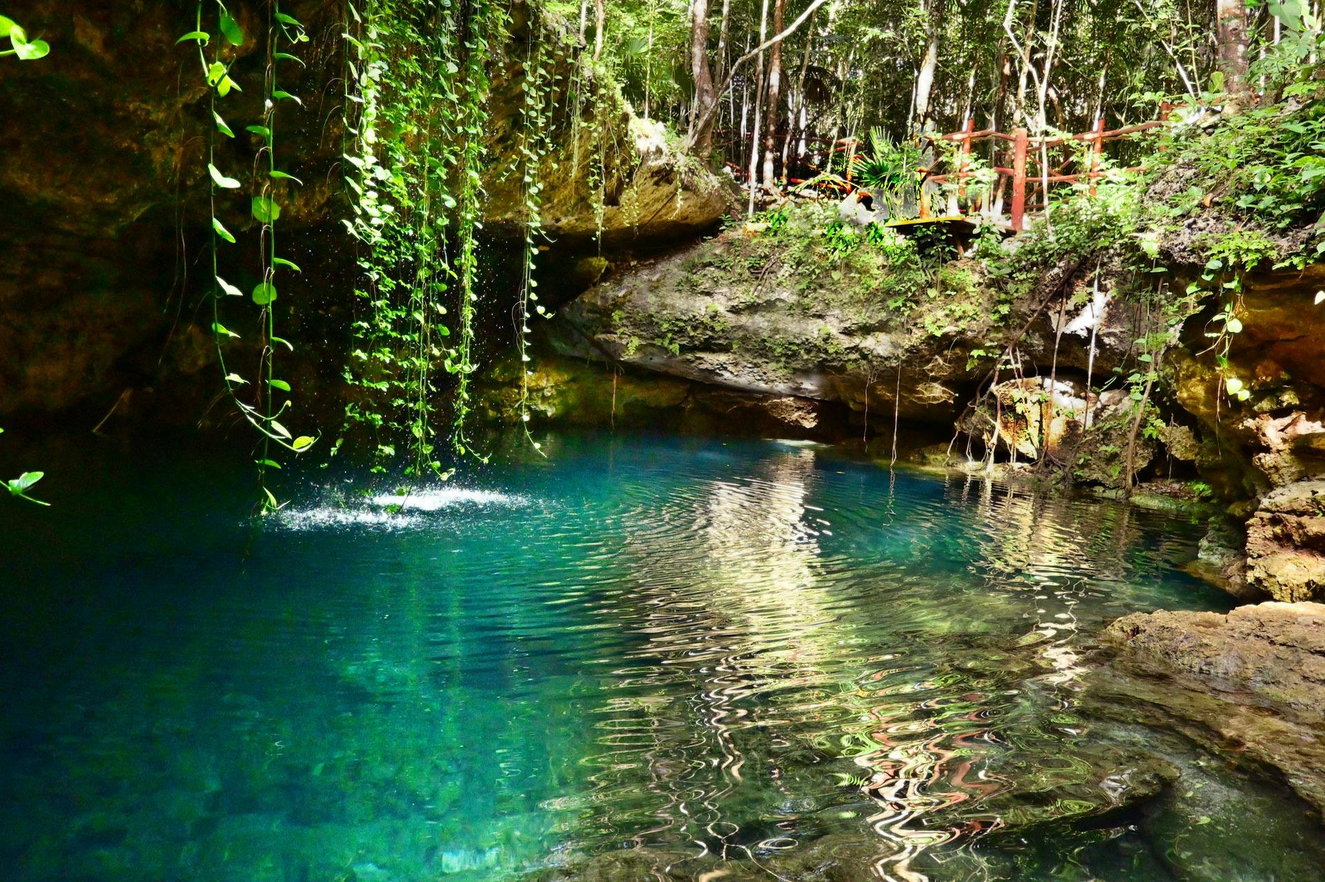 세노테에서 즐기는 이국적인 풍경