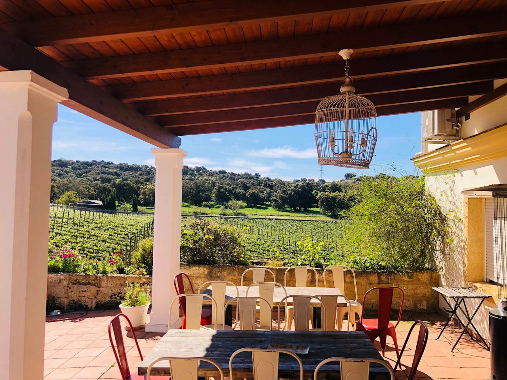 Outdoor patio with wooden roof, table, mixed-color chairs, hanging birdcage lamp, overlooking a vineyard and greenery.