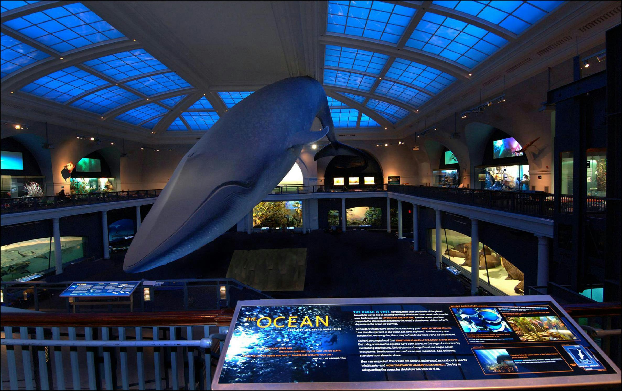 Biljetter Till American Museum Of Natural History I NYC - Hellotickets