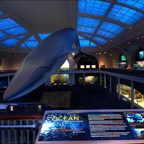 American Museum of Natural History (AMNH): Entry Ticket - Photo 9