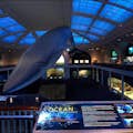 The famous Blue Whale model at the Museum of Natural History in New York.