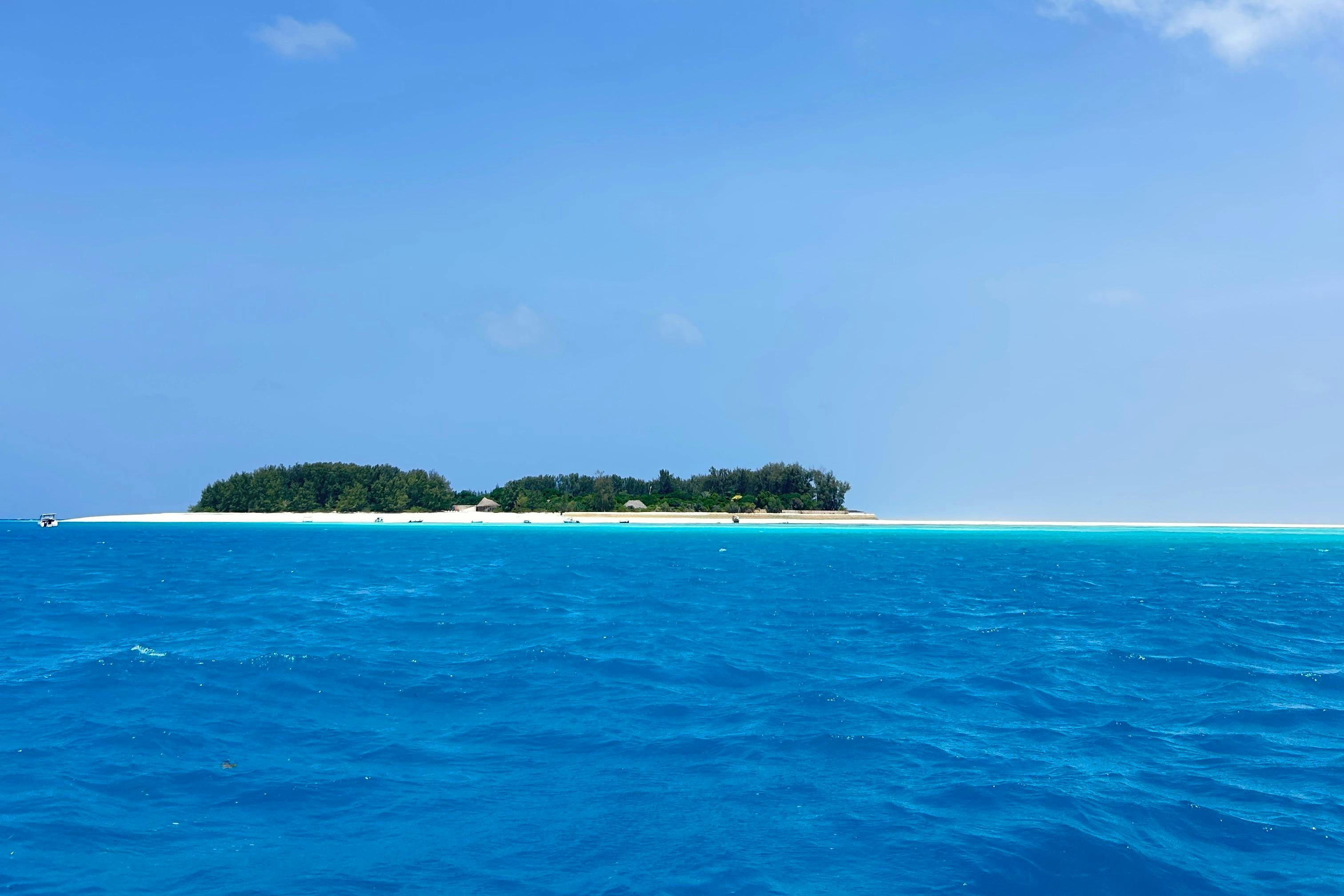 Zanzibar: Swimming with Dolphins Day Trip - Photo 3
