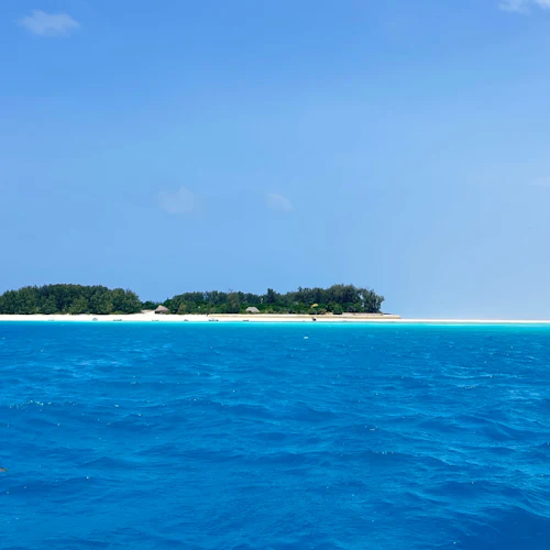 Zanzibar: Swimming with Dolphins Day Trip - Photo 3