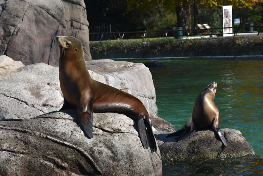 Bronx Zoo Tickets Hellotickets