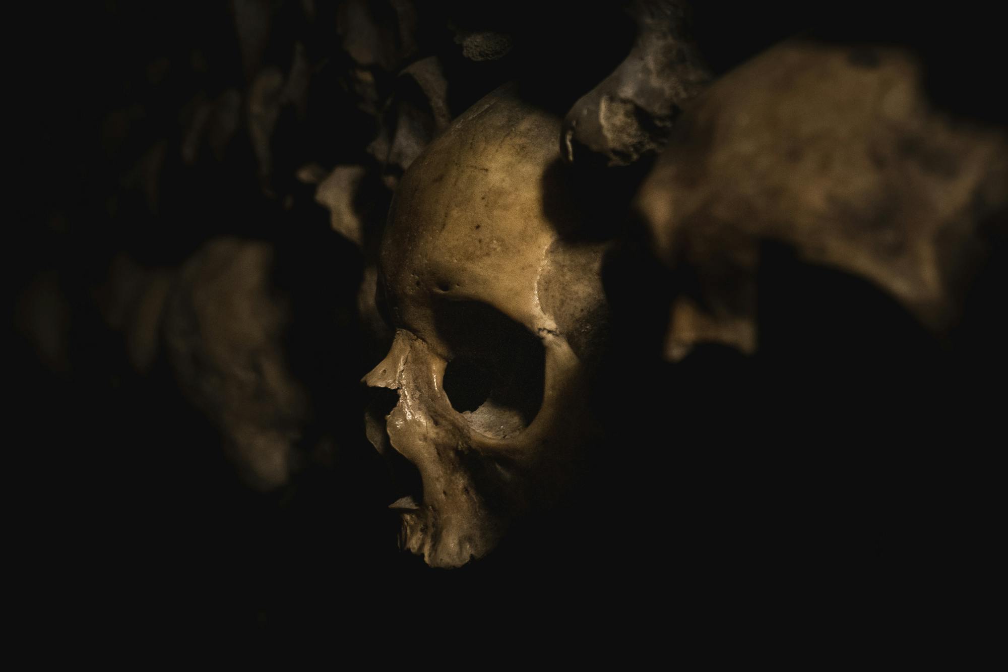 A human skull in partial darkness with surrounding bones, creating a somber and eerie atmosphere.