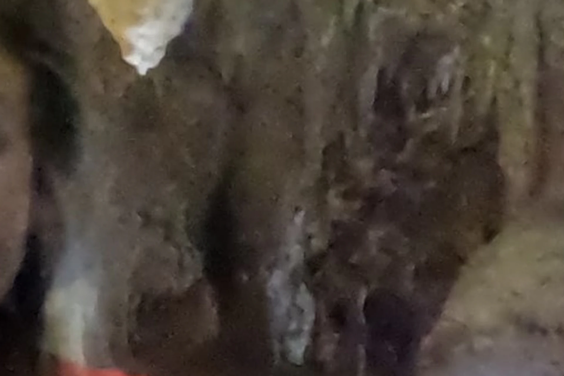 Discovery of the last cenote.