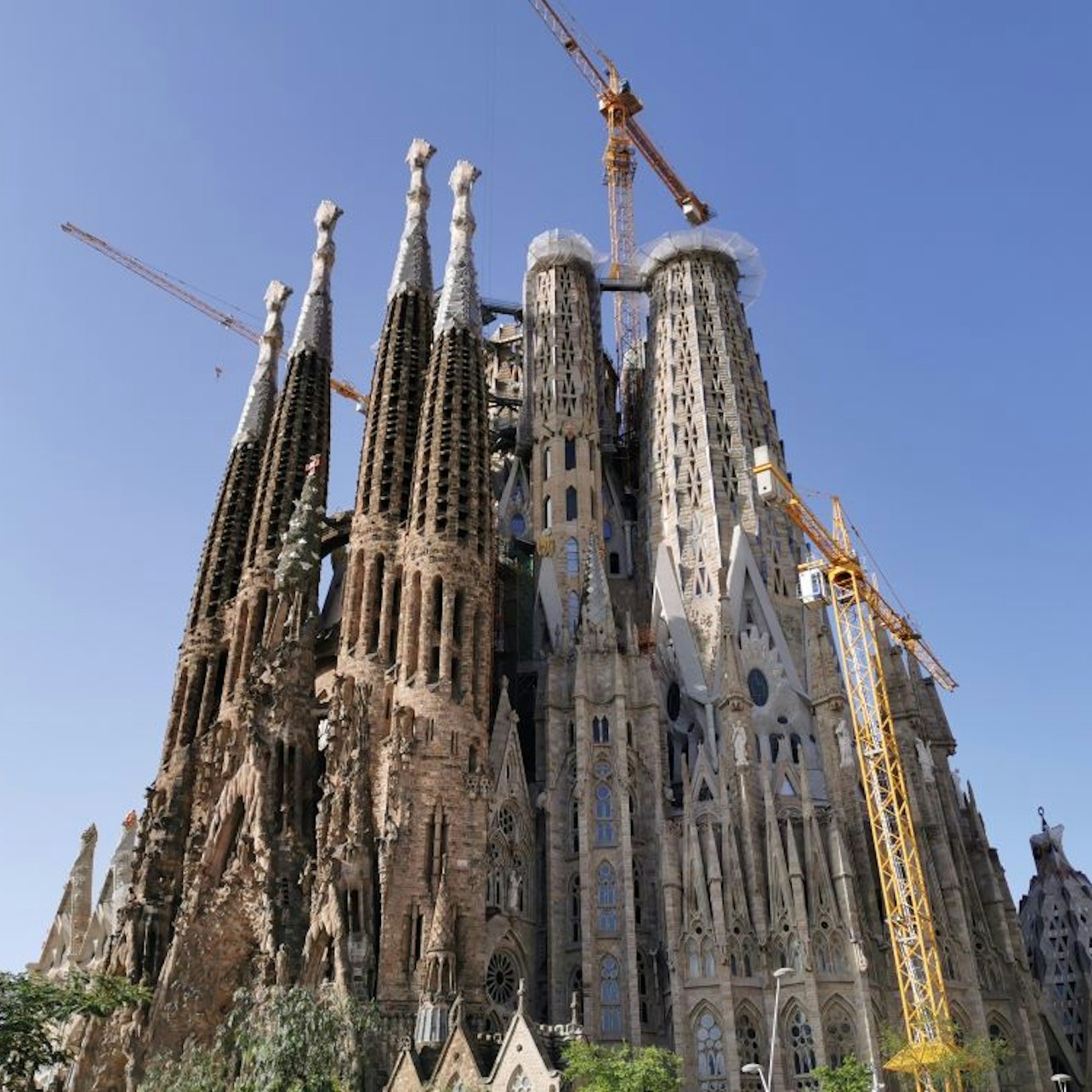 Go With A Local: Visita guiada sin hacer cola a la Sagrada Familia en italiano - Alojamientos en Barcelona